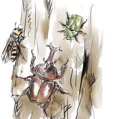 －終了しました－　3月14日オンライン講座「じゅえき太郎さんと一緒に昆虫の絵を描こう！」（有料・限定ライブ）