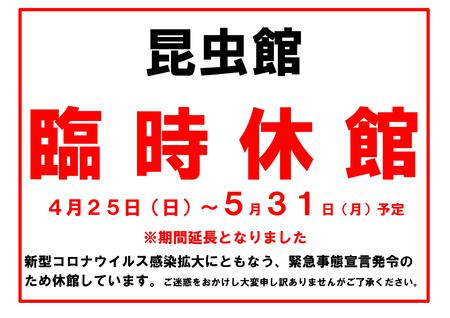 箕面公園昆虫館 臨時休館中 伊丹市昆虫館 箕面公園昆虫館合同企画展 魅惑のいもむし けむし展 3月31日 7月19日