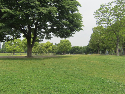 花博記念公園鶴見緑地に行きました。