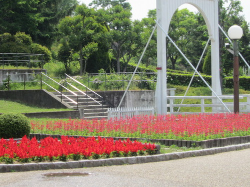 花博記念公園鶴見緑地に行きました。