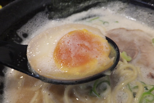 吹田・江坂　「らーめん樹希（いつき）」　クリーミーな味わいの鶏トン節ラーメン！