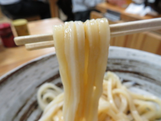 岸和田　「うどん蔵　ふじたや」　大阪好っきゃ麺８　その３　釜揚げしらすの生醤油うどん！