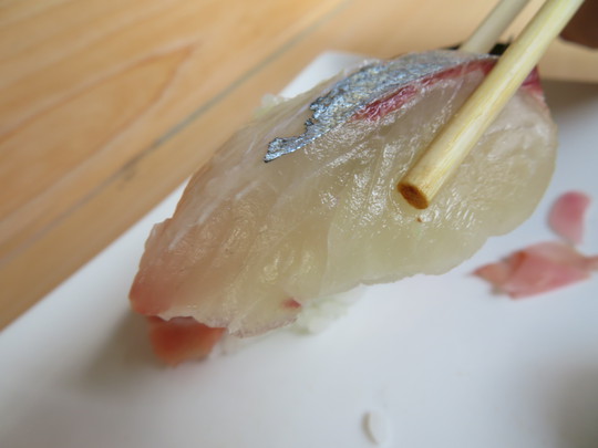 明石・ハーモニカ横丁　「鮨　ささ倉」　名店明石菊水ご出身の大将が握る絶品寿司がリーズナブルに頂けます！