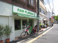 PAIN PLATEAU