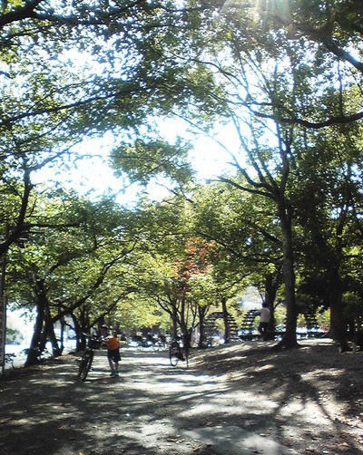 江坂公園