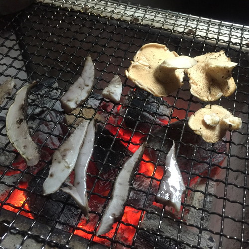 長野県できのこ狩りキャンプ～きのこ料理編～