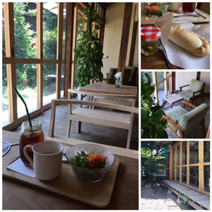 【文京区・千石】庭の家のカフェひだまり
