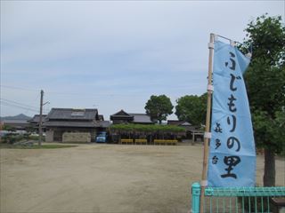 愛媛県　藤の名所～長福神社と藤森荒魂神社