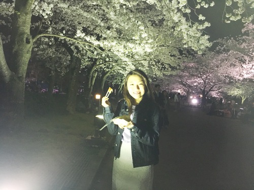 万博記念公園で桜まつり♪