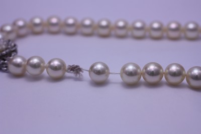 卒業式・入学式に備えて真珠のネックレスを糸替え修理