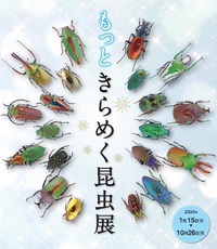 －終了しました－　きらめく甲虫と蝶がせいぞろい：燦爛たる昆虫のめくるめく世界へ：　企画展　『もっと きらめく昆虫展』