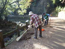 －終了しました－　12月8日　滝道の落葉清掃0.5dayボランティア