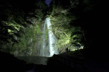 箕面公園 公式サイト : －終了しました－ 箕面公園・秋のライトアップ