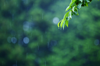 雨の季節☂️スキンケア以上に気をつけたいこと