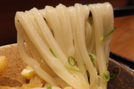城東・緑橋　「和菜うどん　快（かい）」　大阪好っきゃ麺６　第１弾　鶏天生醤油うどん！