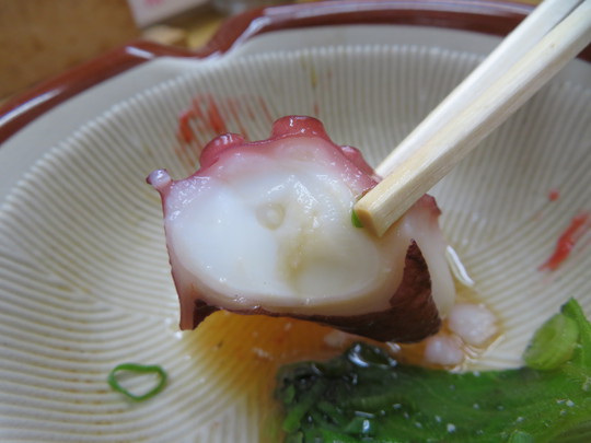 明石・本町　「季節料理　藤原」　値打ちある新鮮な海鮮料理がリーズナブルに頂けます！