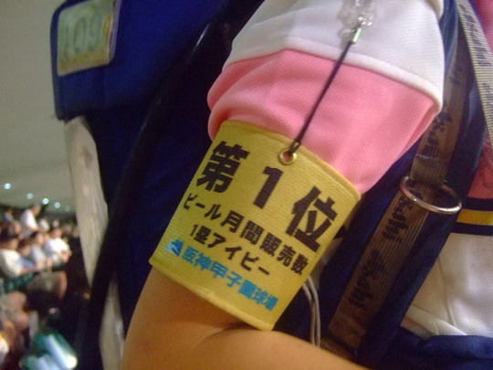 西宮・甲子園球場　「阪神 対 横浜」ほろ酔い気分の観戦ですが