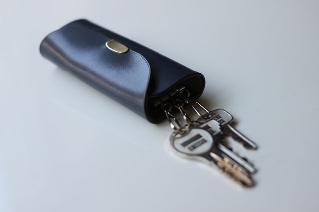 new item☆『mimosa key case』