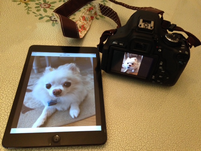 一眼レフで撮影した画像をiPad MINIで確認できるようになりました！大阪コスプレ体験サテライトドア　