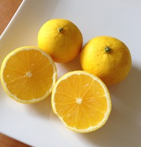 この柑橘類の名前はなんでしょう？