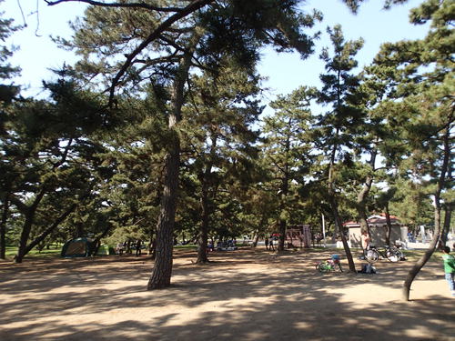 堺市の「浜寺公園」は最高やで！